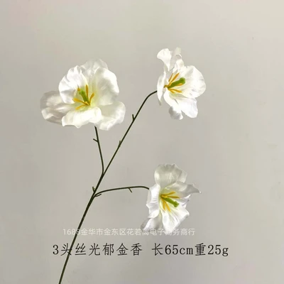 3 heads of mercerized tulips