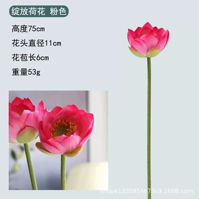 Blooming lotus powder