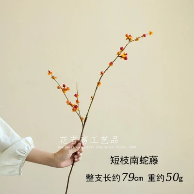 Short-branched south snake vine