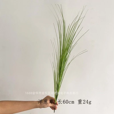 Onion grass