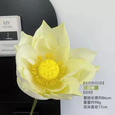 Fully open lotus flowers are all white