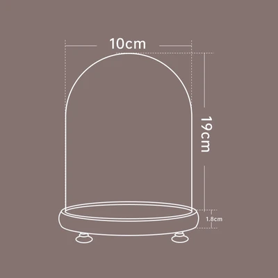 10*19 log + lamp