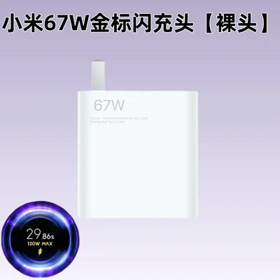 67w standard flash charging head [gold label] bare head