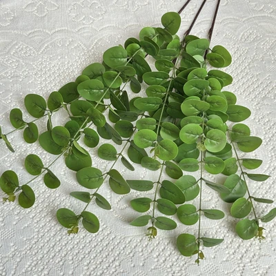 3 forks of eucalyptus [1 stick]