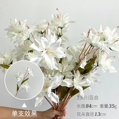 3 sichuan lilies