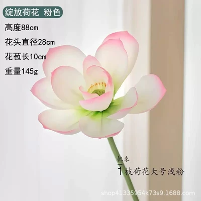 Blooming lotus film powder