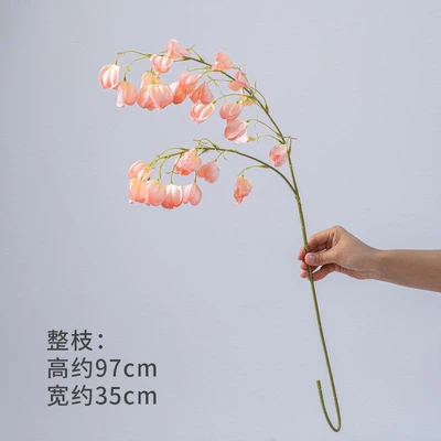 Peach pink