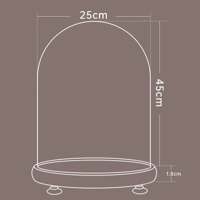 25*45 log + lamp