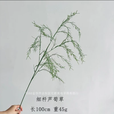 Thin-stalked reed grass