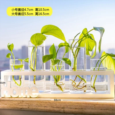 White home(5 bottles)