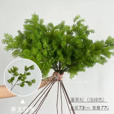 Penglai pine (light green)