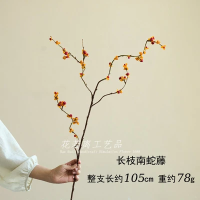 Long-branched south snake vine