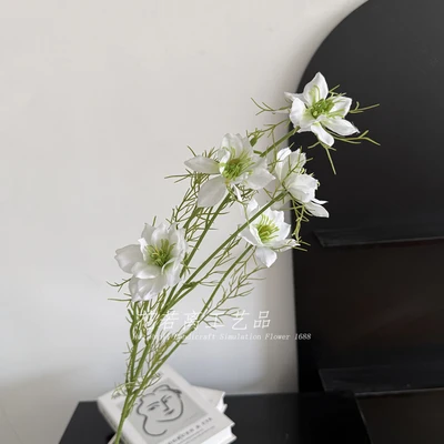 Silky Jasmine White