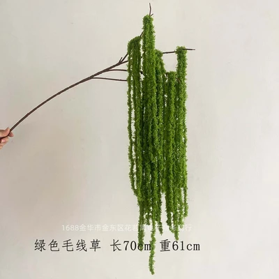 Wool grass