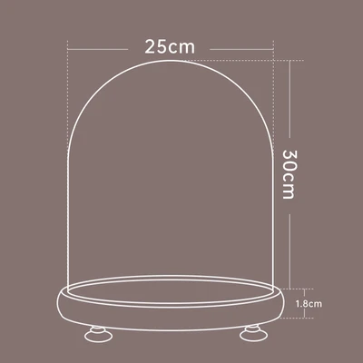 25*30 log + lamp