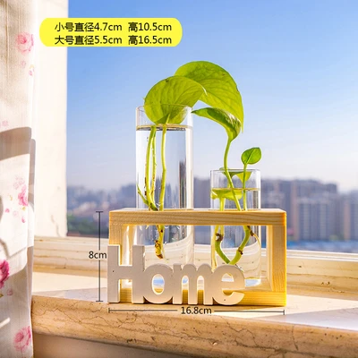 Log color home(2 bottles)