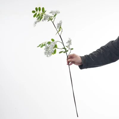 Long branch white [110cm]