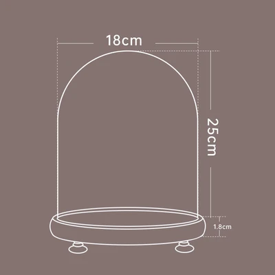 18*25 log + lamp