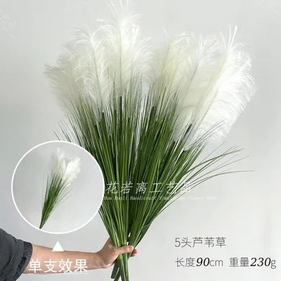 5 reeds