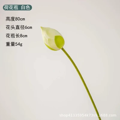 Lotus bud white
