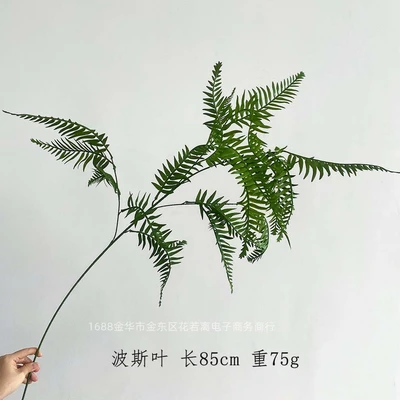 Persian leaf