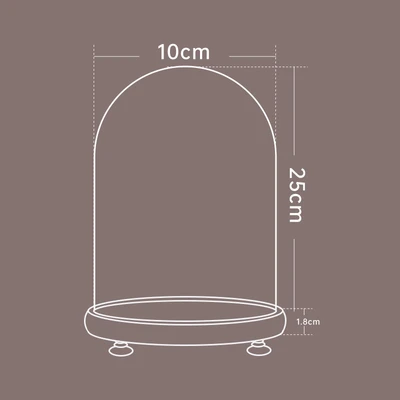 10*25 log + lamp