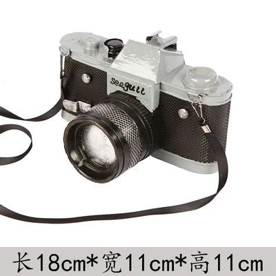 seagull camera model