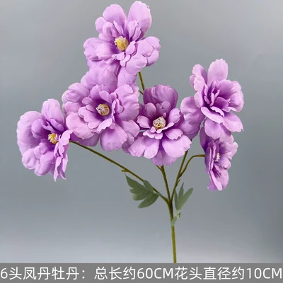 6 danfeng peonies-purple