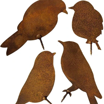 4 birds fighting for joy