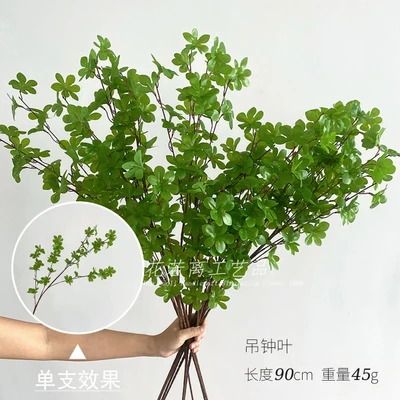 Bell leaf