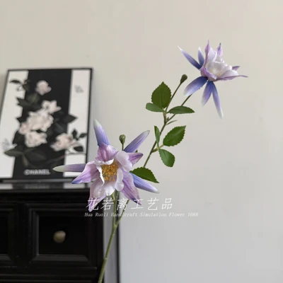 Gradient purple anemone