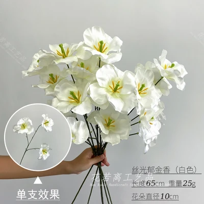 3 heads of mercerized tulips