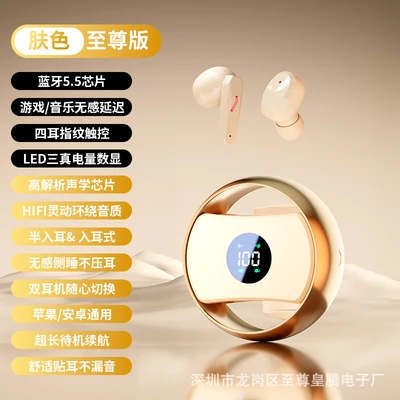 Ts28 dual earphones skin color