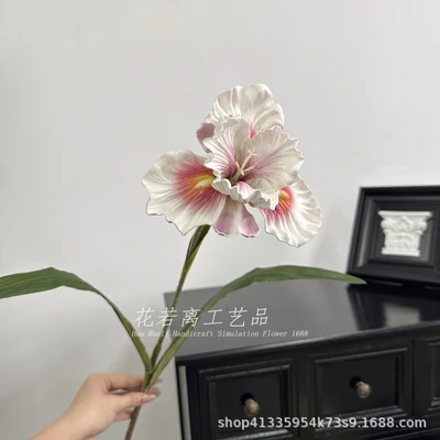 White pink iris