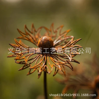 Rust-colored cornflower single pack