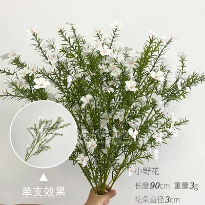 Small wildflower