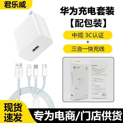 Set [66 charging head + 1.3m in one fast charging cable] with packaging