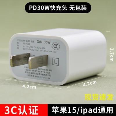 30wpd charger [without packaging]