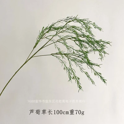 Thick-stemmed reed grass