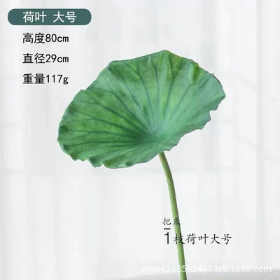 Lotus leaf large