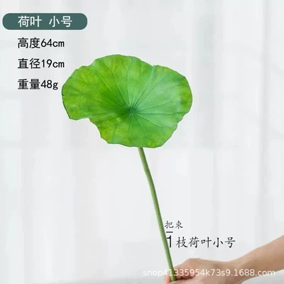 Lotus leaf trumpet