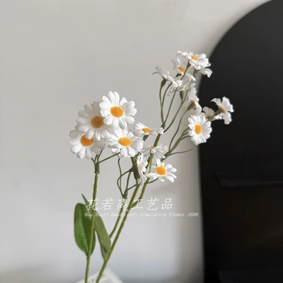Chamomile White