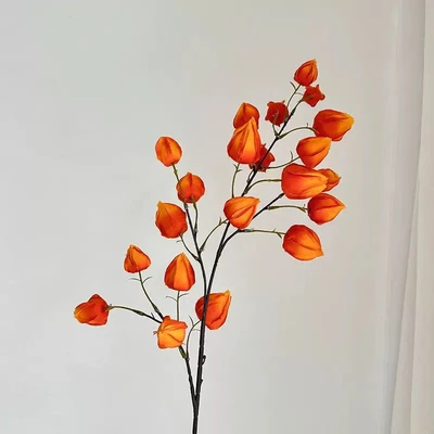 Deep orange