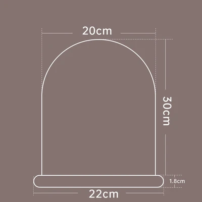 20*30 + line lamp 2 meters 20 lamp beads