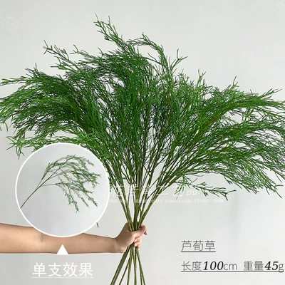 Reed grass (thick stem)