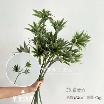 3 lily bamboos