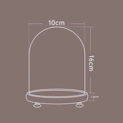 10*16 log + lamp