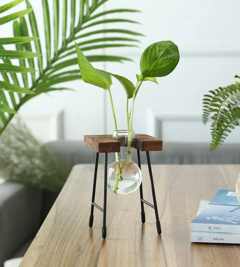 Transparent glass vase green dill hydroponic glass bottle for living room creative small fresh desktop ornaments flower arrangement decorative flower pot