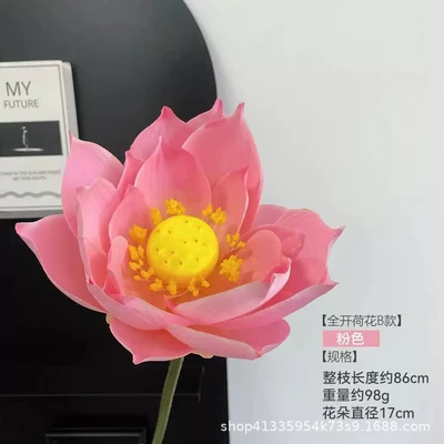 Full bloom lotus, all pink
