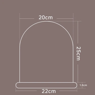 20*25 + line lamp 2 meters 20 lamp beads